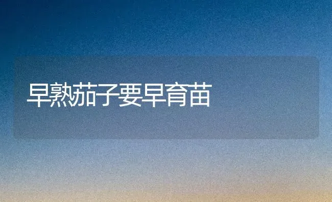 早熟茄子要早育苗 | 蔬菜种植