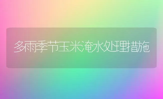 多雨季节玉米淹水处理措施 | 粮油作物种植