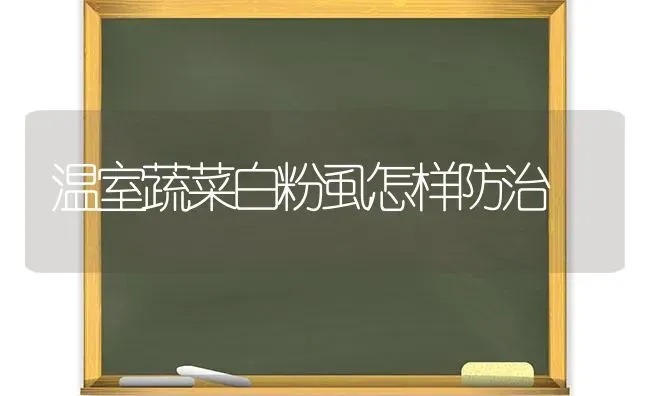 温室蔬菜白粉虱怎样防治 | 蔬菜种植