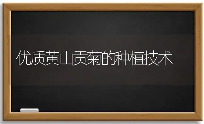 优质黄山贡菊的种植技术 | 植物种植百科