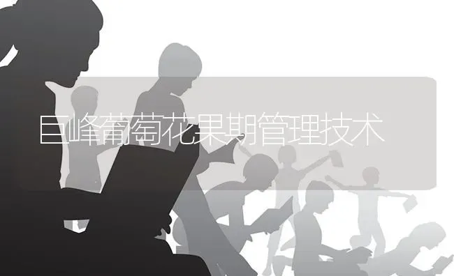 巨峰葡萄花果期管理技术 | 瓜果种植