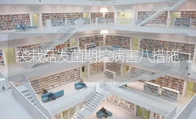 袋栽菇发菌期控病害八措施 | 食用菌种植