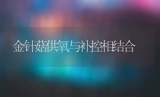 金针菇供氧与补控相结合 | 食用菌种植