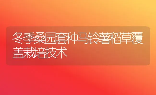 冬季桑园套种马铃薯稻草覆盖栽培技术 | 粮油作物种植
