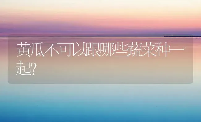 黄瓜不可以跟哪些蔬菜种一起？ | 蔬菜种植