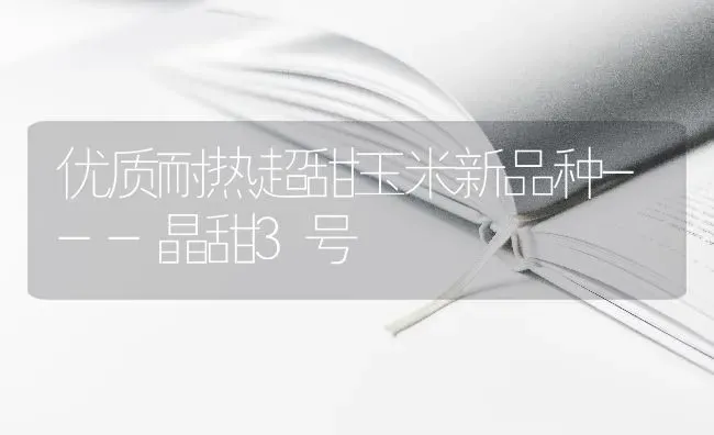 优质耐热超甜玉米新品种---晶甜3号 | 粮油作物种植