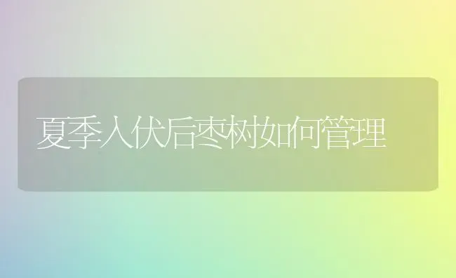 夏季入伏后枣树如何管理 | 瓜果种植