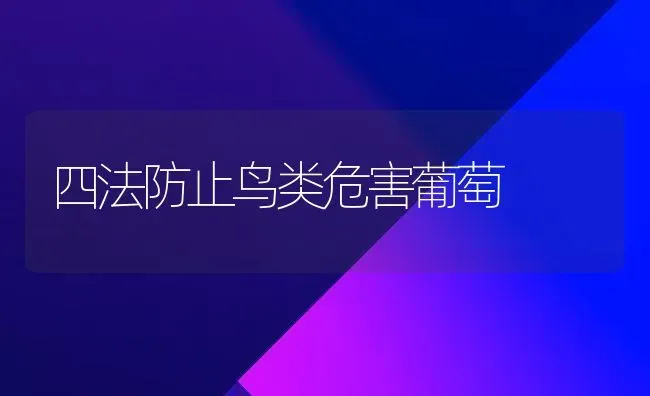 四法防止鸟类危害葡萄 | 瓜果种植