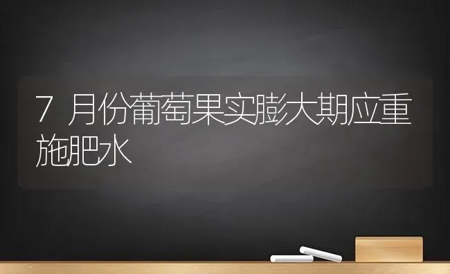 7月份葡萄果实膨大期应重施肥水 | 瓜果种植