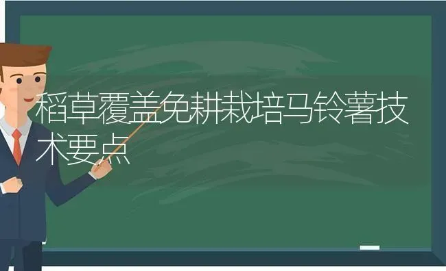 稻草覆盖免耕栽培马铃薯技术要点 | 粮油作物种植