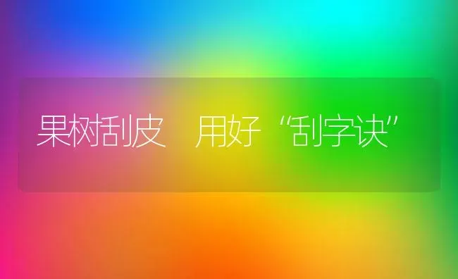 果树刮皮 用好“刮字诀” | 瓜果种植