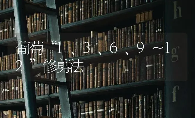 葡萄“1、3、6、9～12”修剪法 | 瓜果种植