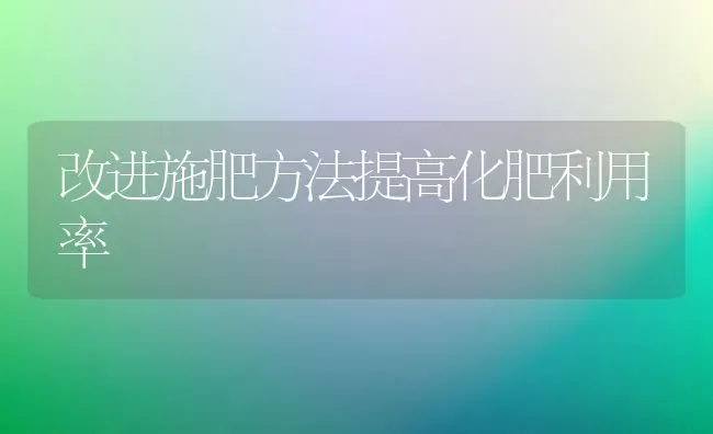 改进施肥方法提高化肥利用率 | 种植肥料施肥
