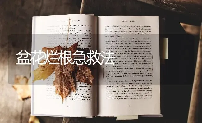 如何控制中药材农药残留 | 药材种植