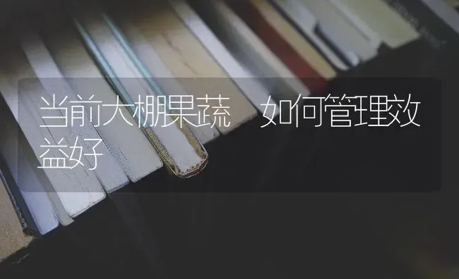 当前大棚果蔬 如何管理效益好 | 瓜果种植