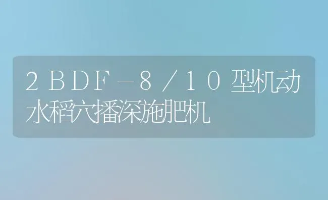 2BDF-8/10型机动水稻穴播深施肥机 | 粮油作物种植