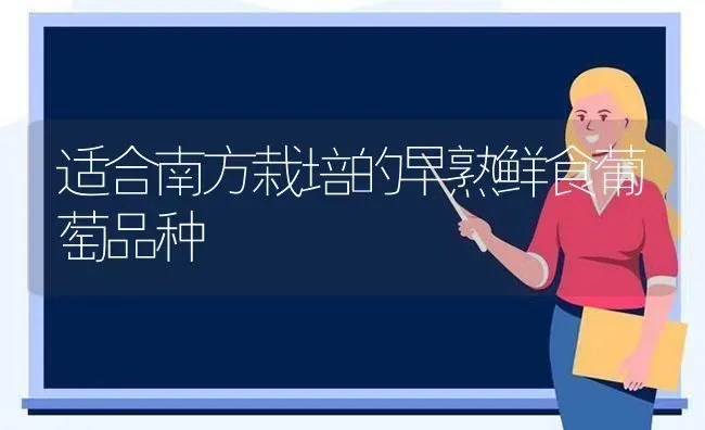 适合南方栽培的早熟鲜食葡萄品种 | 瓜果种植