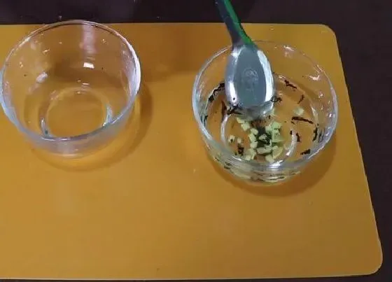 功效常识|干桂花的功效与作用及食用方法