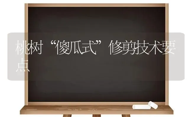 桃树“傻瓜式”修剪技术要点 | 瓜果种植