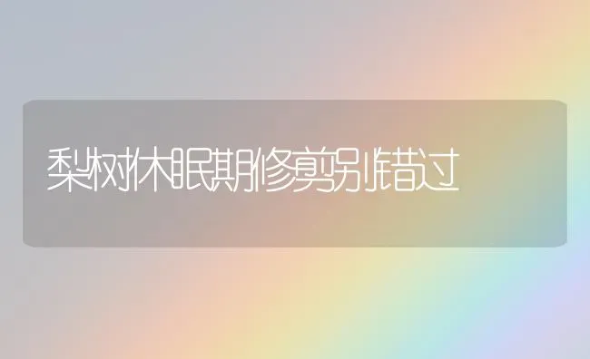 梨树休眠期修剪别错过 | 瓜果种植