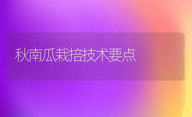 秋南瓜栽掊技术要点 | 蔬菜种植