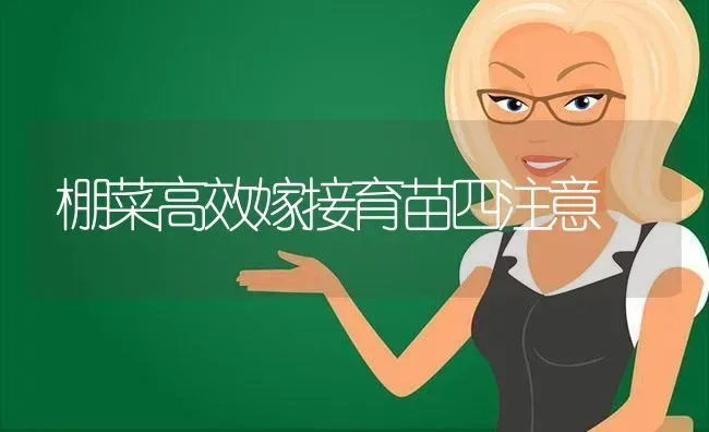 棚菜高效嫁接育苗四注意 | 蔬菜种植