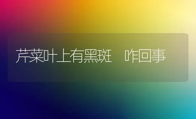 芹菜叶上有黑斑 咋回事 | 蔬菜种植