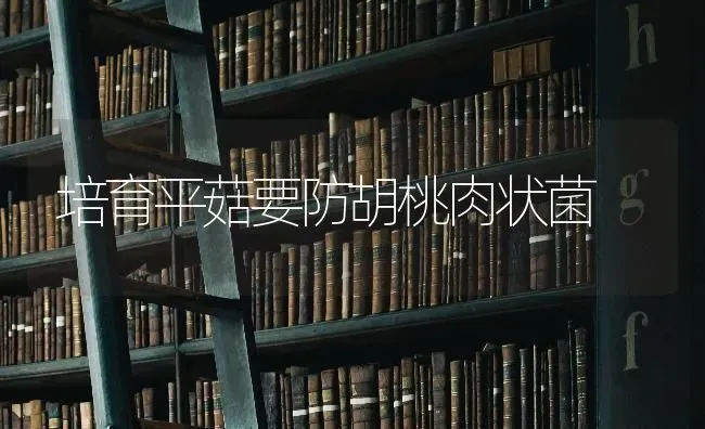 培育平菇要防胡桃肉状菌 | 食用菌种植