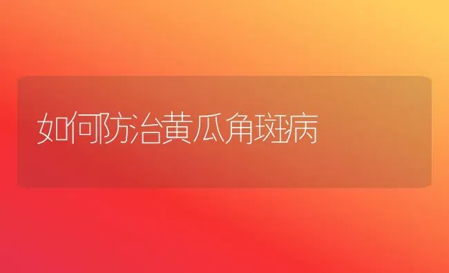 如何防治黄瓜角斑病 | 蔬菜种植