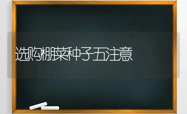 选购棚菜种子五注意 | 蔬菜种植