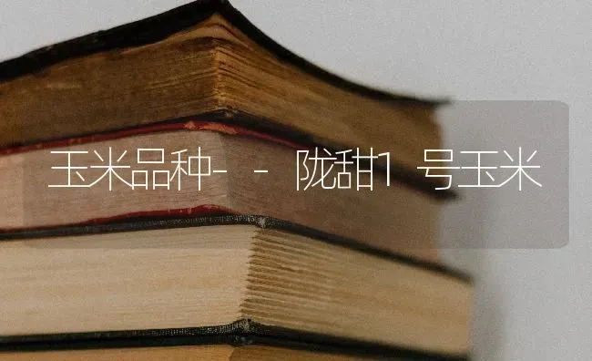 玉米品种--陇甜1号玉米 | 粮油作物种植