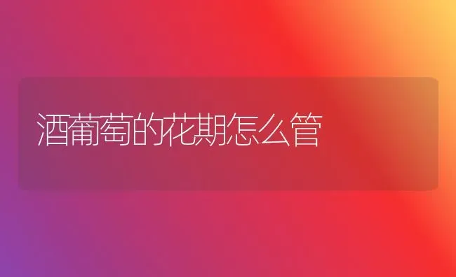 酒葡萄的花期怎么管 | 瓜果种植