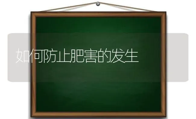 白菜霜霉病防治技术指导要点 | 蔬菜种植