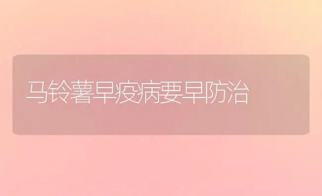 马铃薯早疫病要早防治 | 粮油作物种植