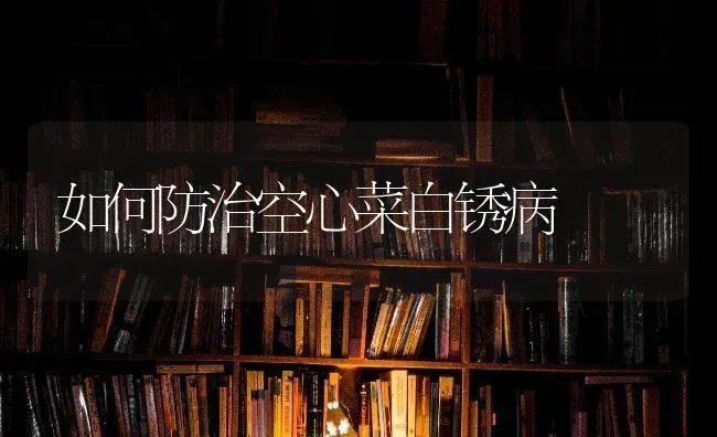 如何防治空心菜白锈病 | 蔬菜种植