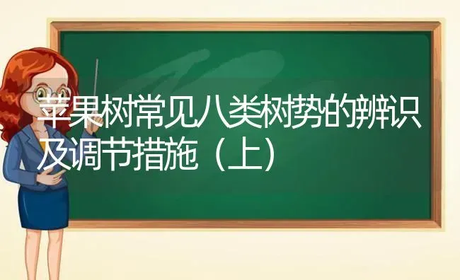 苹果树常见八类树势的辨识及调节措施（上） | 瓜果种植