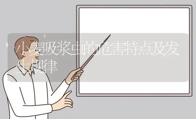 小麦吸浆虫的危害特点及发生规律 | 粮油作物种植