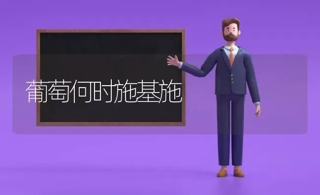葡萄何时施基施 | 瓜果种植