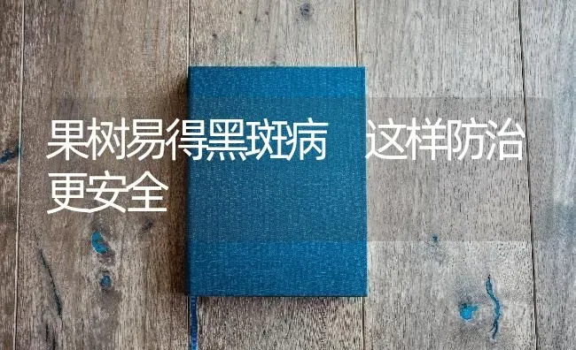 果树易得黑斑病 这样防治更安全 | 瓜果种植