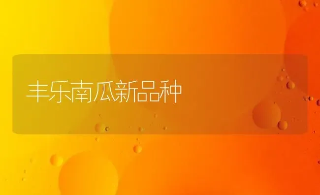 丰乐南瓜新品种 | 蔬菜种植