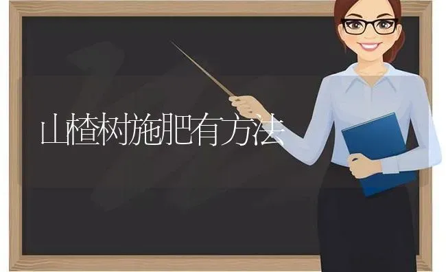 山楂树施肥有方法 | 种植肥料施肥