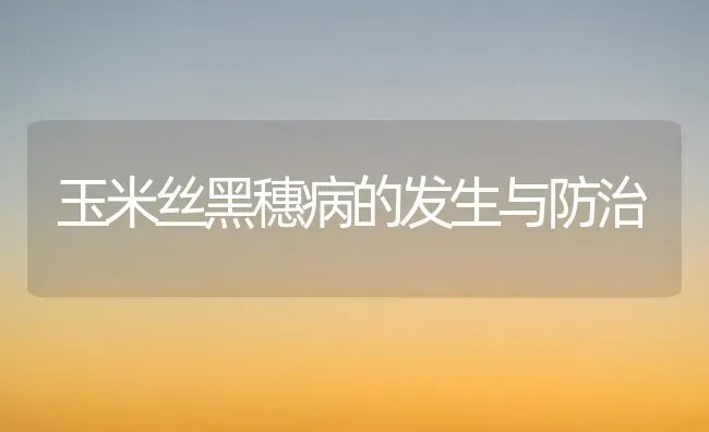 玉米丝黑穗病的发生与防治 | 粮油作物种植