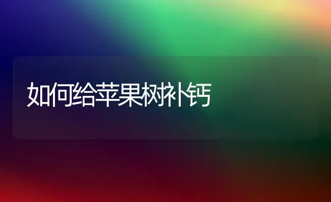 如何给苹果树补钙 | 瓜果种植