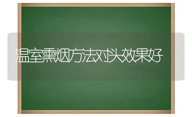 温室熏烟方法对头效果好 | 瓜果种植