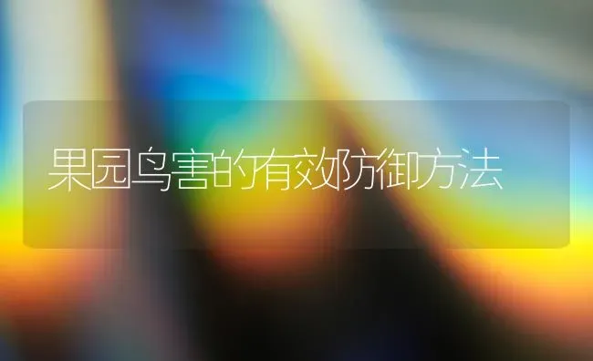 果园鸟害的有效防御方法 | 瓜果种植