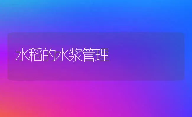 水稻的水浆管理 | 粮油作物种植