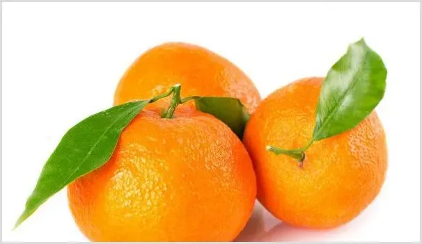 桔子冬天怕冻吗 | 种植技术