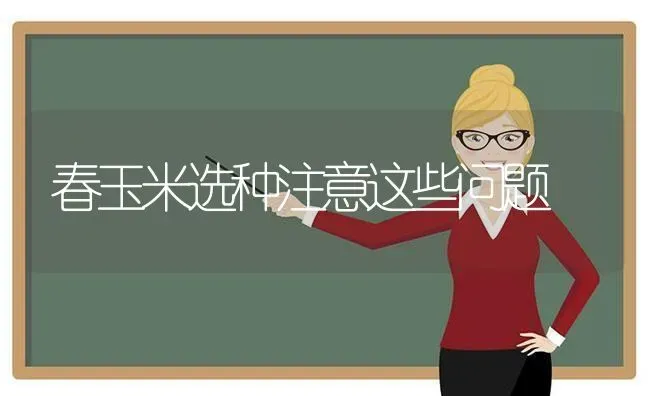 春玉米选种注意这些问题 | 粮油作物种植