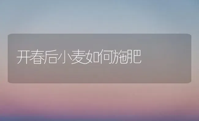 开春后小麦如何施肥 | 粮油作物种植