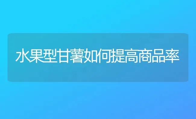 水果型甘薯如何提高商品率 | 瓜果种植